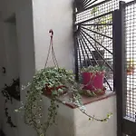 Il Nespolo Salerno