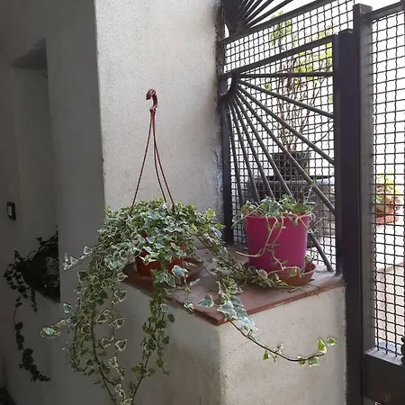 Il Nespolo Salerno